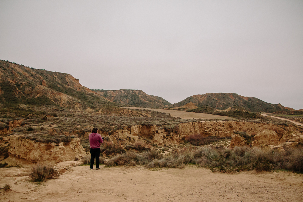 Bardenas Reales